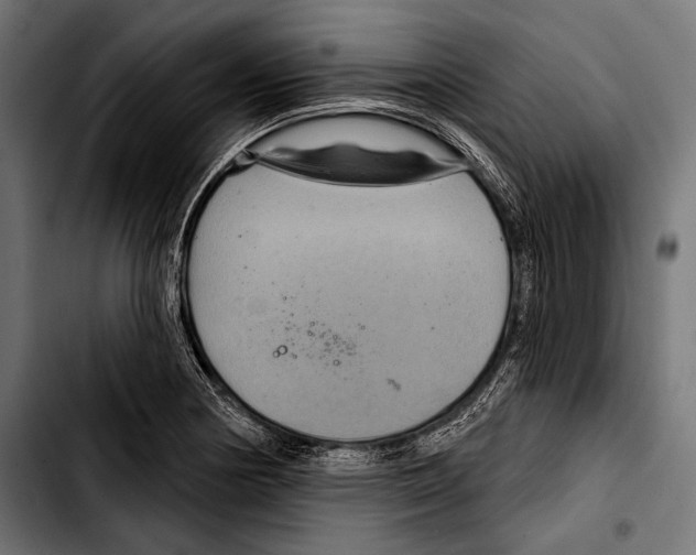 X0000103321178200810171354