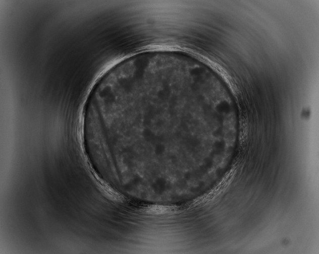 X0000103321179200810171354