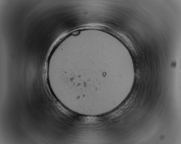 X0000103321180200810171354