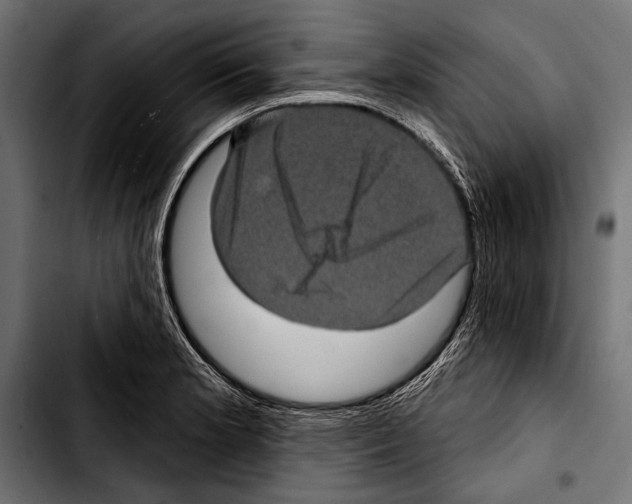 X0000103321181200810171354