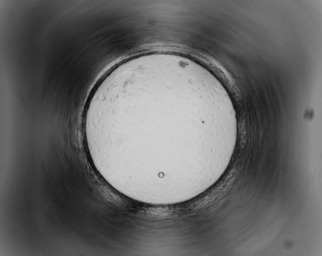 X0000103321182200810171354