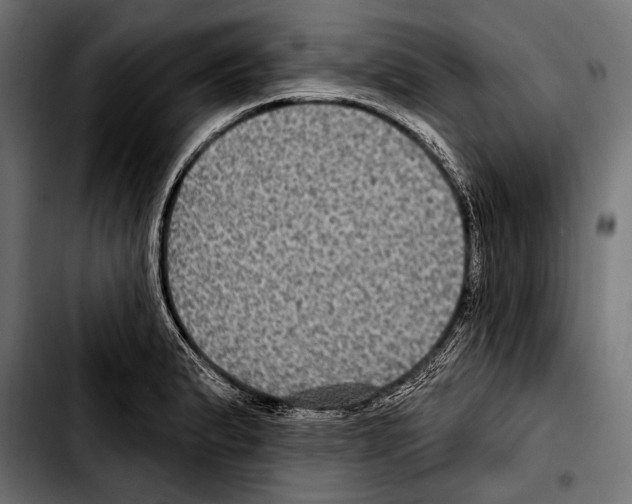 X0000103321183200810171354