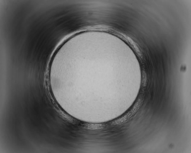 X0000103321184200810171354