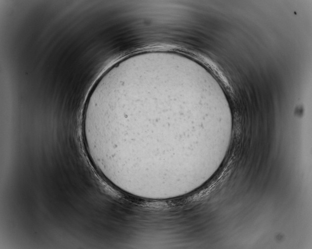 X0000103321186200810171354