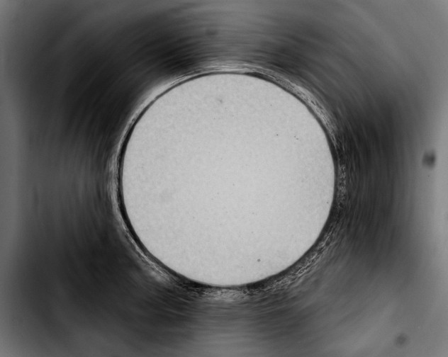 X0000103321187200810171354
