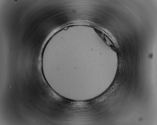 X0000103321188200810171354