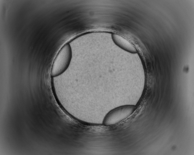 X0000103321189200810171354