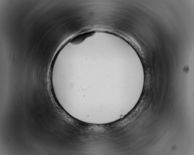 X0000103321190200810171354