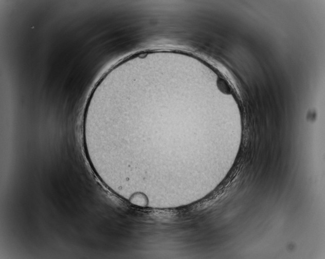 X0000103321191200810171354