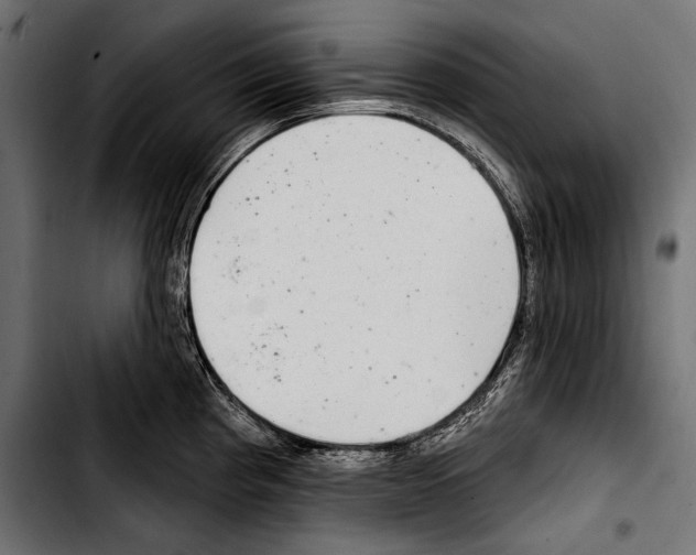 X0000103321193200810171354