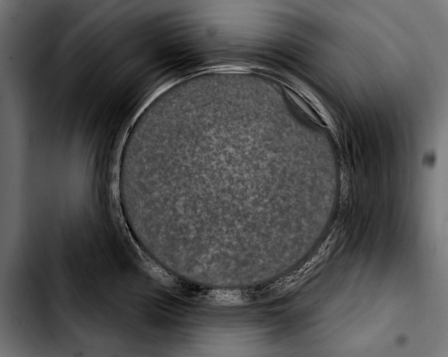 X0000103321194200810171354