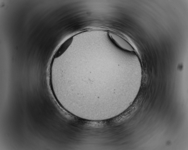 X0000103321195200810171354