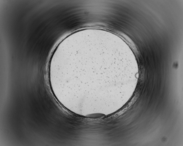 X0000103321196200810171354