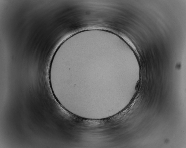 X0000103321197200810171354