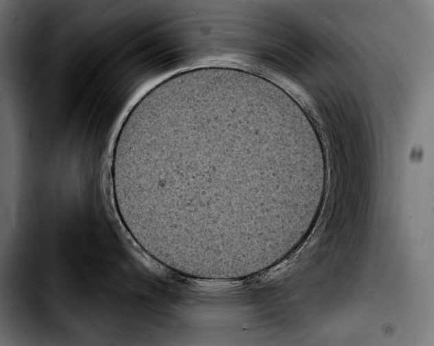 X0000103321200200810171354