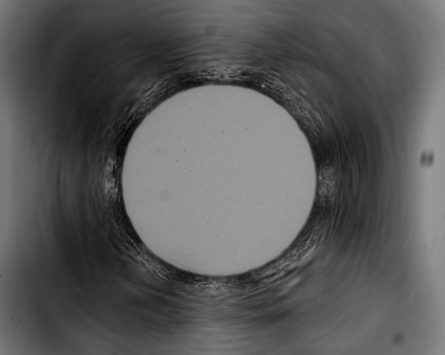 X0000103321202200810171353
