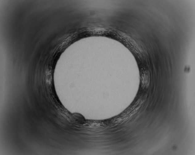 X0000103321204200810171353