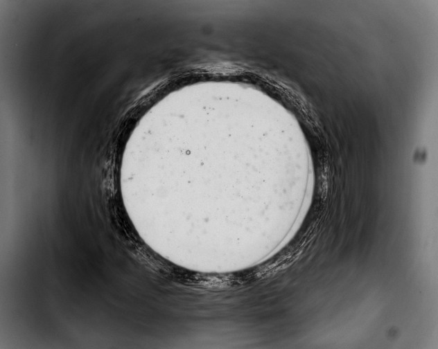 X0000103321205200810171353