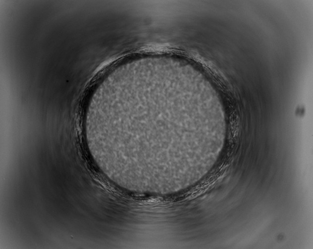 X0000103321206200810171353