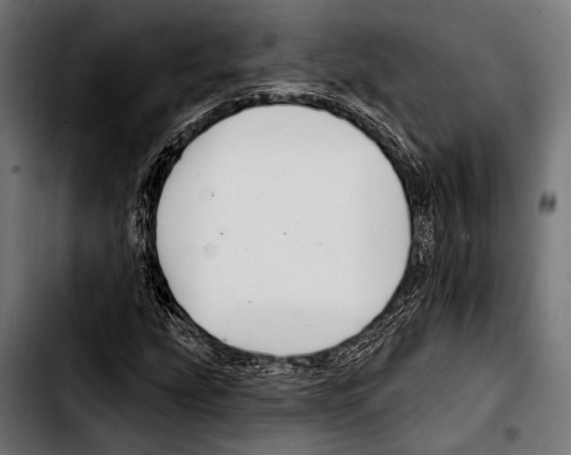 X0000103321207200810171353
