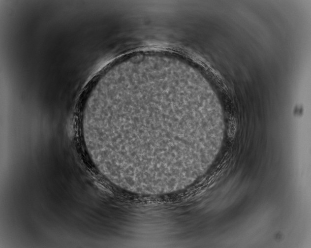X0000103321208200810171353