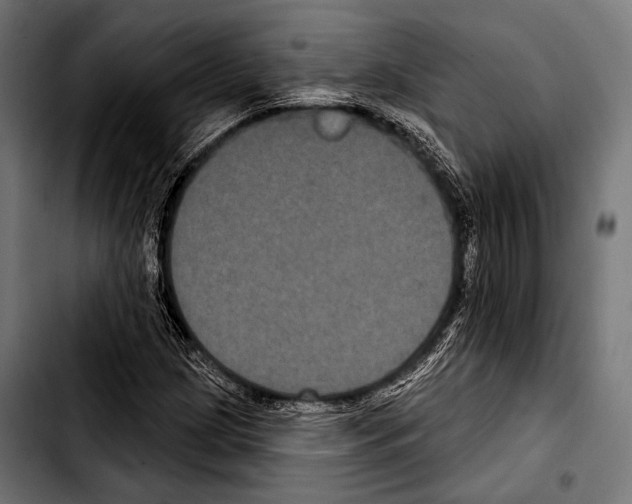 X0000103321209200810171354