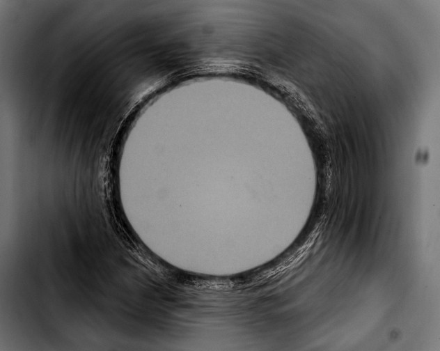 X0000103321210200810171354