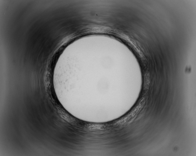 X0000103321211200810171354