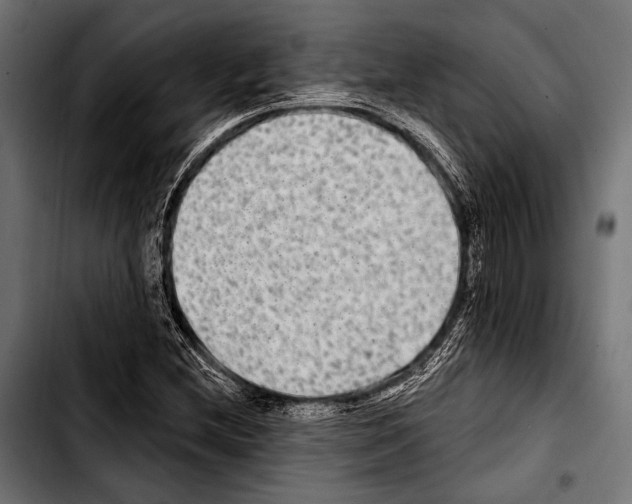 X0000103321212200810171354