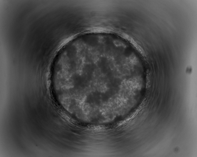 X0000103321213200810171354