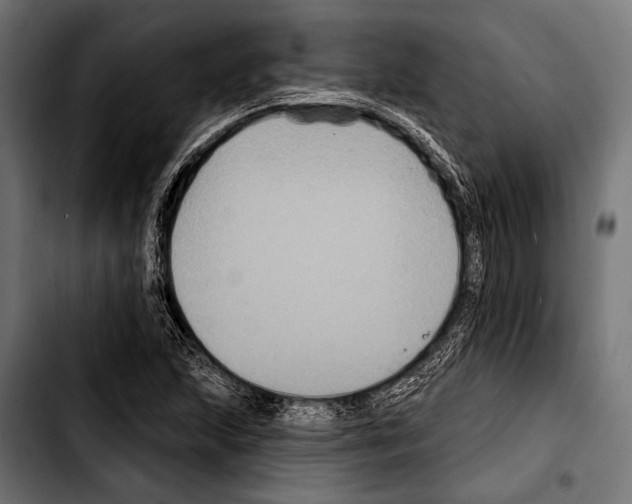 X0000103321215200810171354
