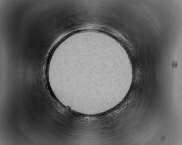 X0000103321216200810171354