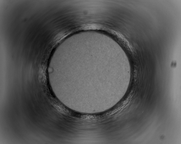 X0000103321217200810171354
