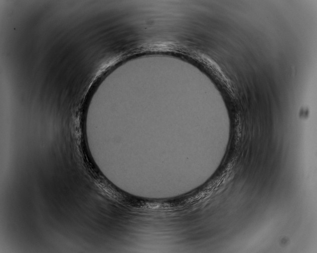 X0000103321218200810171354