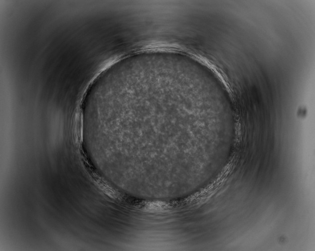 X0000103321219200810171354
