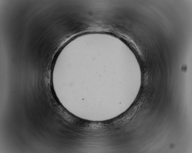 X0000103321220200810171354