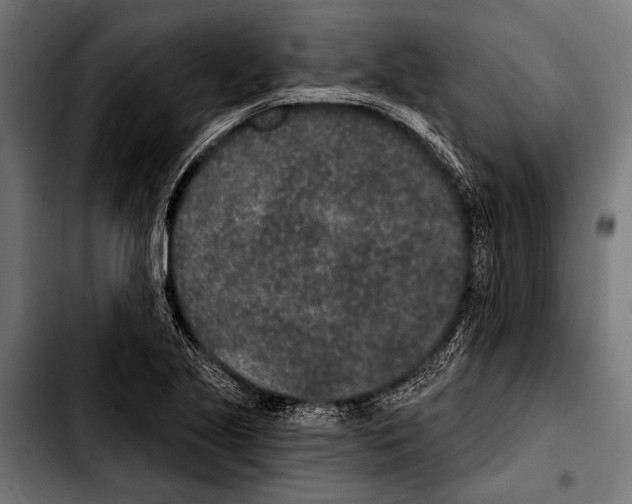 X0000103321221200810171354