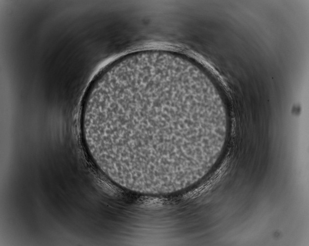 X0000103321222200810171354
