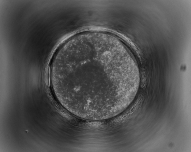 X0000103321223200810171354