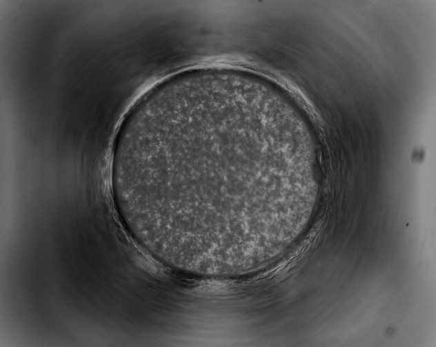 X0000103321224200810171354