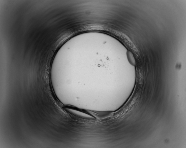 X0000103321225200810171354