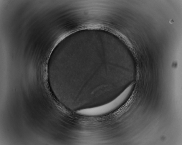 X0000103321226200810171354