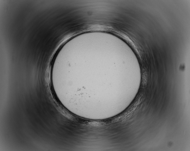 X0000103321227200810171354