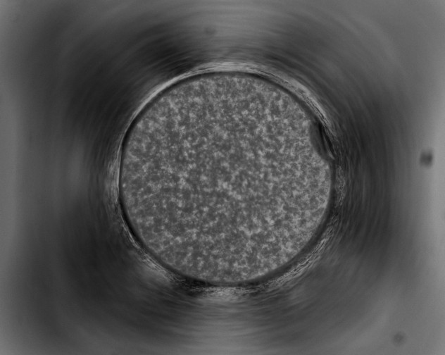 X0000103321228200810171354