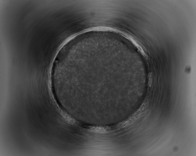 X0000103321229200810171354