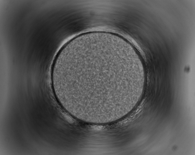 X0000103321230200810171354