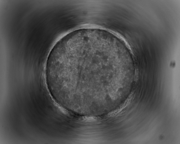 X0000103321231200810171354
