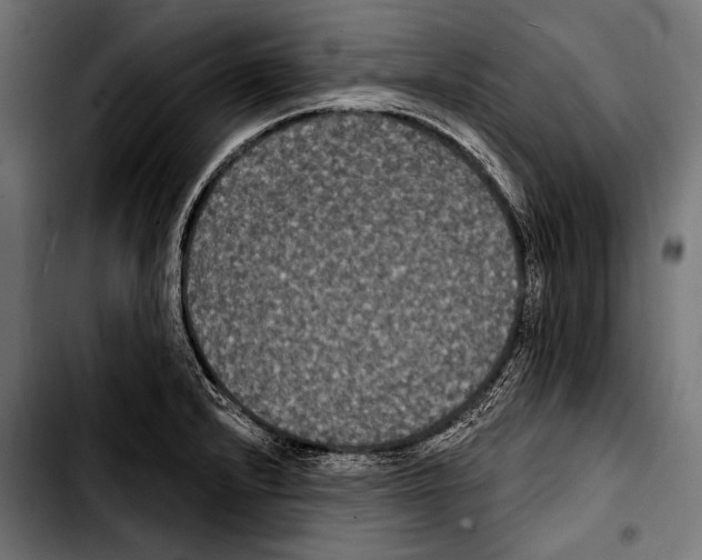 X0000103321232200810171354