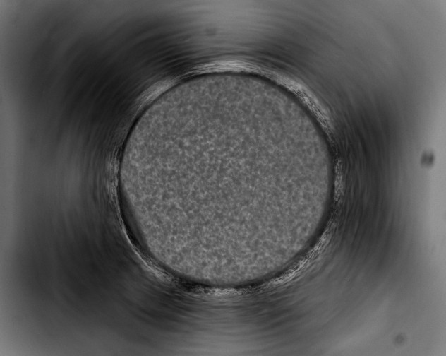 X0000103321233200810171354