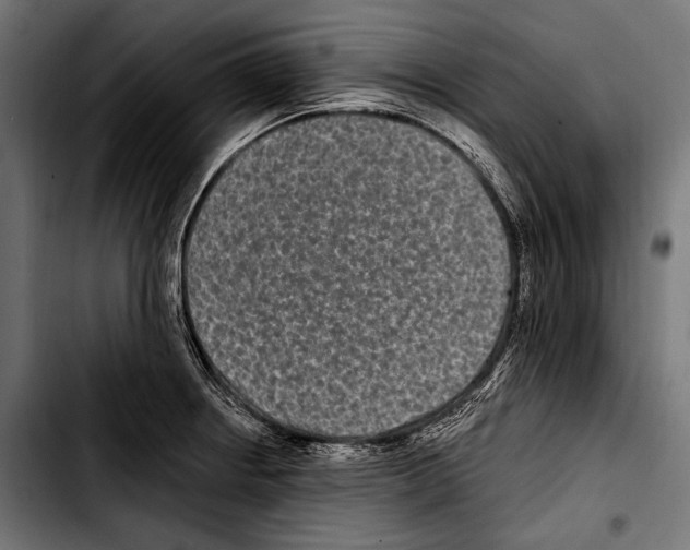 X0000103321234200810171354